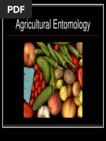 Download Agricultural Entomologypdf by Nasriah Macadato SN183841161 doc pdf