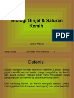 Biologi Ginjal & Saluran Kemih