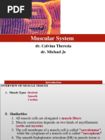 Chapter 4. Muscular - System Je