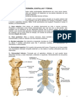 Osteologia de Torax