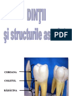 Digestiv II-dinţi ( EMO 2009)