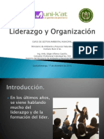 001_Liderazgo y Organización