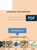 Animalesvertebrados 111228210535 Phpapp02