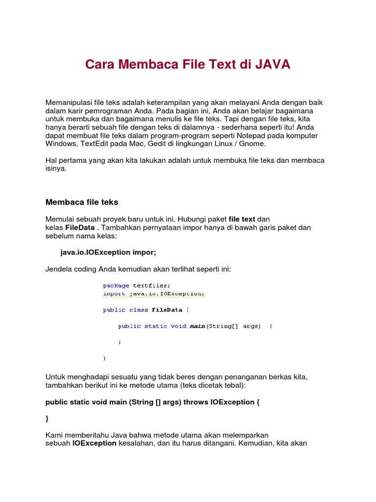 Cara Membaca File Text Di JAVA | PDF