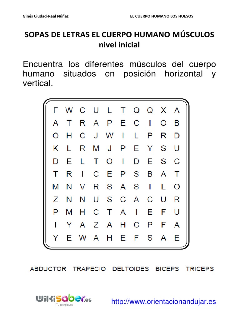Sopa de letras: músculos del cuerpo humano | PDF | Salud y bienestar