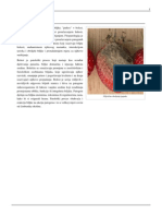 Fitopatologija PDF