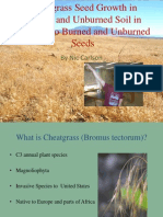 cheatgrass seed growth in burned and unburned soil