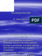 Curs 3 Nucleoproteinele
