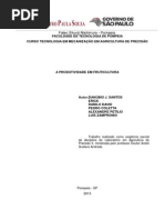 Produtividade Fruticultura Final