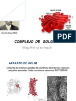 Aparato de Golgi