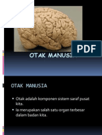 Otak Manusia