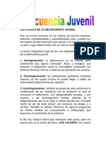 Las Causas de La Delincuencia Juvenil