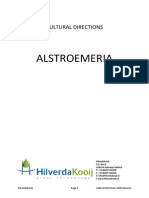 Alstroemeria Cultural Directions