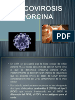 Circovirosis Porcina