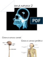 Sistema Nervoso 2