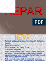 7.hepar, Kelenjar Empedu, Kelenjar Liur Dan Pankreasnew