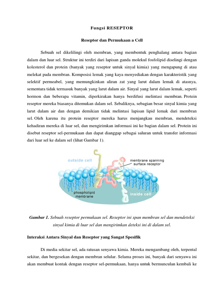 Fungsi RESEPTOR | PDF