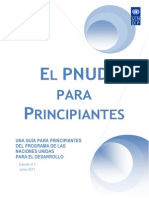 Pnud Para Principiantes