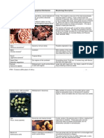 edible plants.pdf