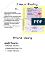 Types of Wound Healing.ppt