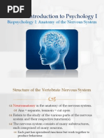 Biopsychology I - Anatomy of The Nervous System PDF