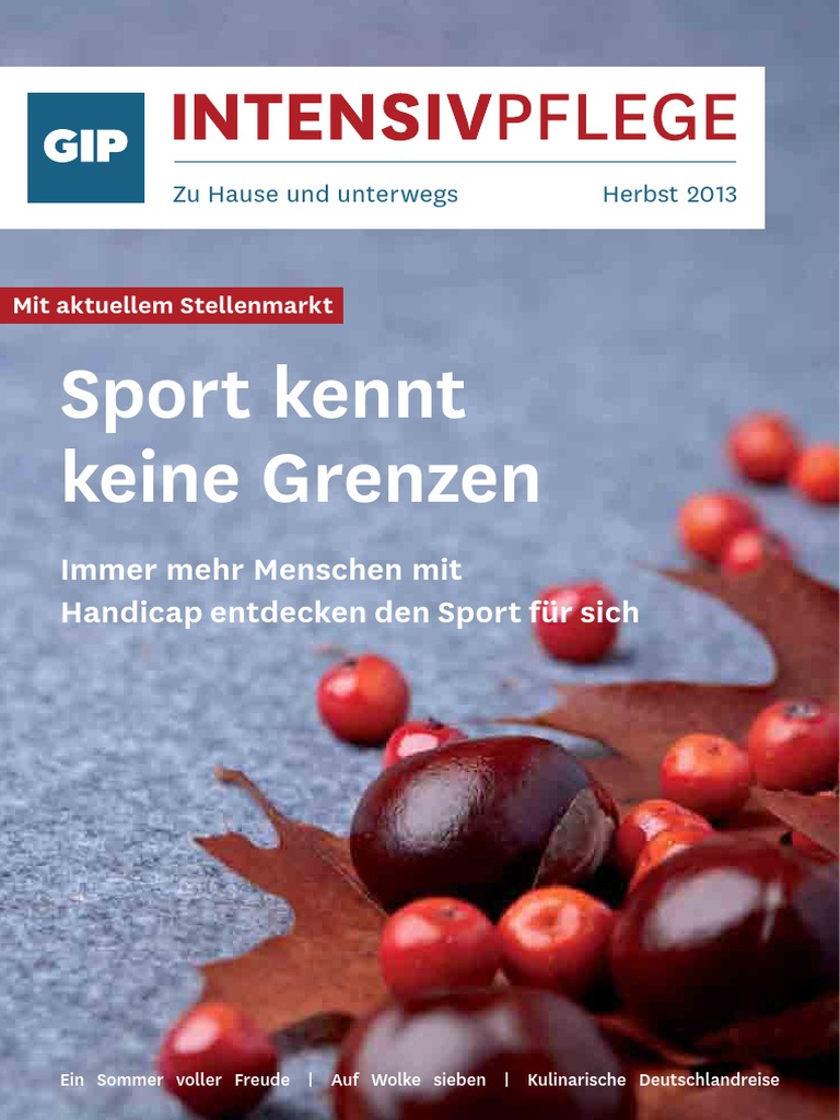 gip magazin ausgabe herbst 2013 pdf