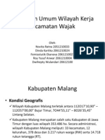 Gambaran Umum Wilayah Kerja Kecamatan Wajak