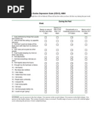 PANAS-SF Questionnaire and Scoring Guide | PDF