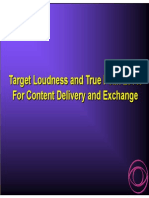 05 - COPPA - Target - Loudness - Exchange - Panel PDF