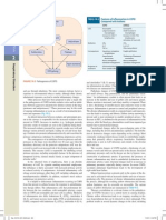 Dipi - Ch016 - Page 0404 PDF
