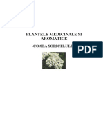 145112118 Plante Medicinale