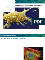 ch3sec3 cell organelles