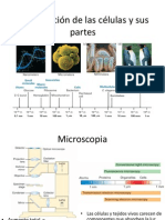 La Celula y Sus Partes