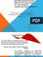 Principios Constitucionales (Contencioso Expo)