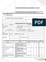 Formato Inspeccion Sso - MRL