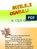 Ciubotele