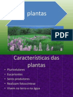 plantas 2003.ppt