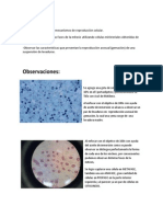 Mitosis y Gemacion Obj. Obs. Concl.