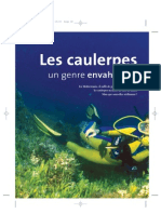 Caulerpes CalypsoLog 2004
