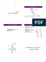 4 ARN Composicion y funcion.pdf