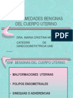Enfermedades Benignas Del Cuerpo Ut Malformaciones, Polipos - 2010