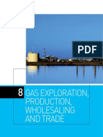 Chapter 8 Gas Exploration, Production, Wholesaling and Trade