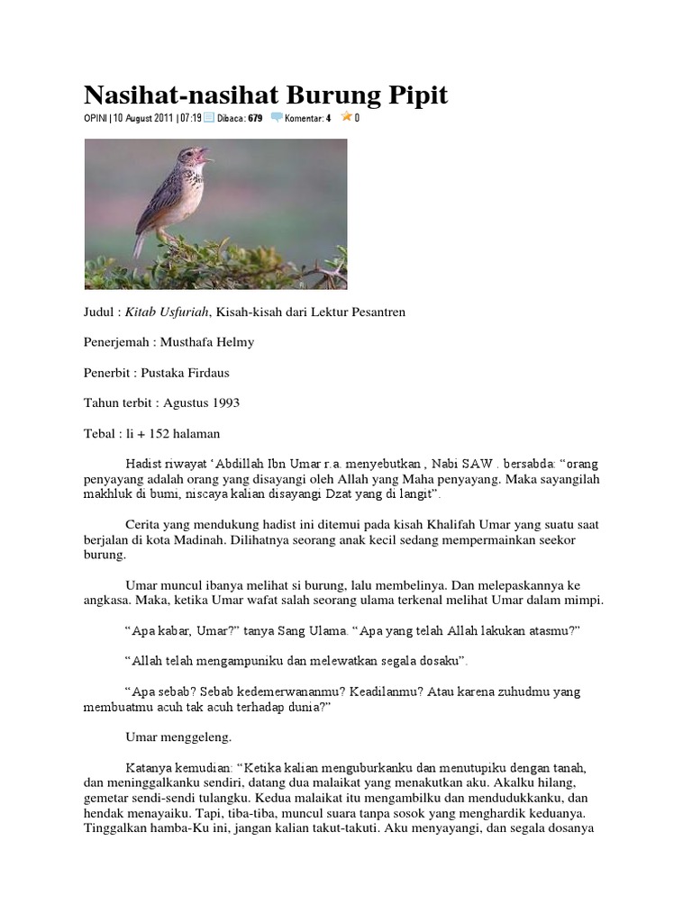 Nasihat Burung Pipit
