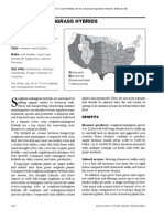 Managing Cover Crops Profitably Sorghum Sudan Grass Hybrids