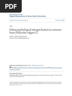 Download Enhancing Biological Nitrogen Fixation in Common Bean Phaseolus by mekaek SN184486035 doc pdf