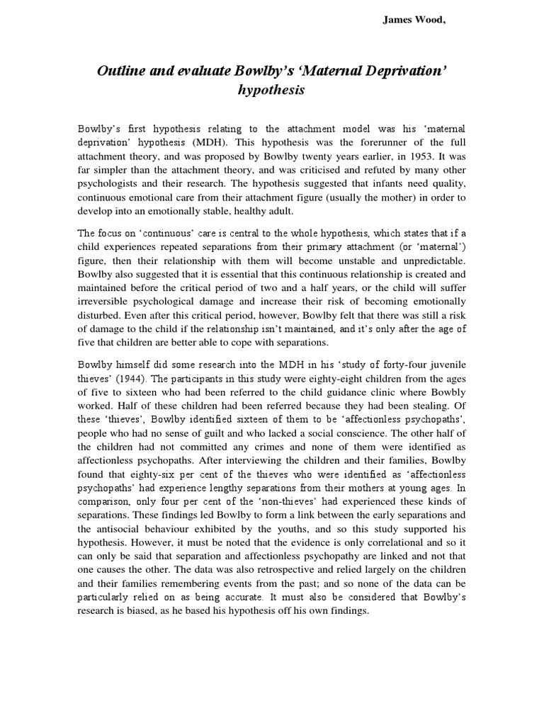 Bowlby theory essay image