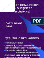 Cartilaj_os_2013 Apc - PDF