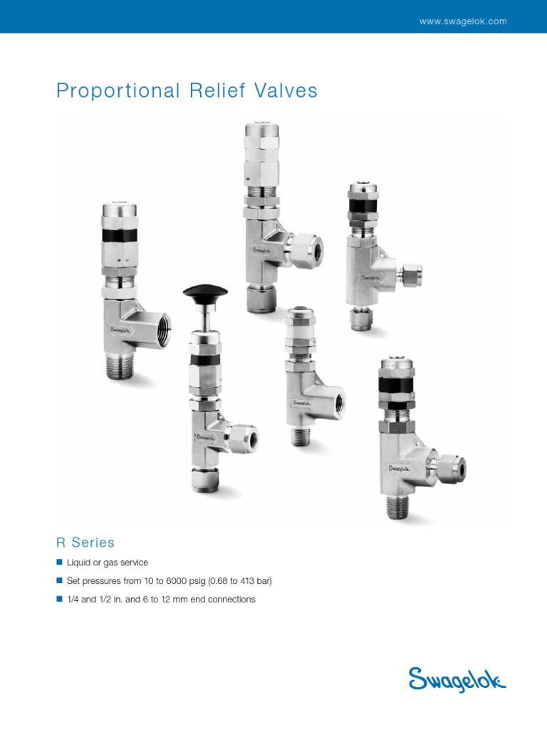 Swagelok Relief Valves