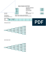 Option Valuation Audit Sheet Assumptions & Computations