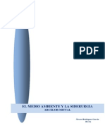 El Medio Ambiente y Siderurgicas PDF